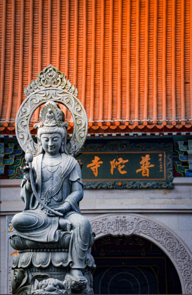 12-Day Meditation & Culture Journey