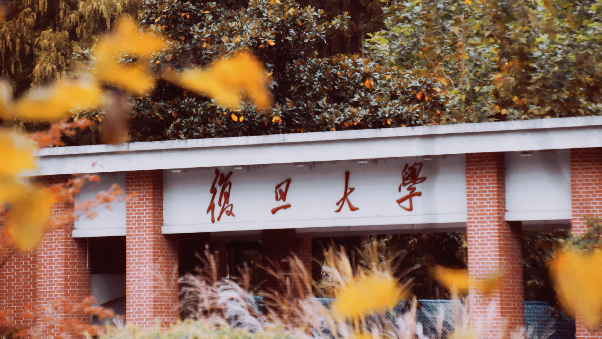 5-Day Shanghai & Suzhou Magic School Tour journey image 3