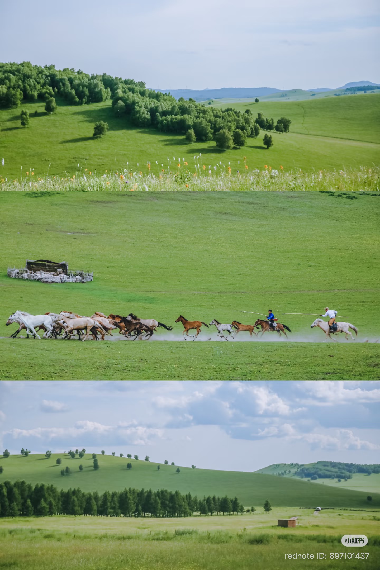 Inner Mongolia Travel Guide